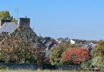 Terrain à Plancoet 22130 223m2 50175 € - BONE-25-11-21-3