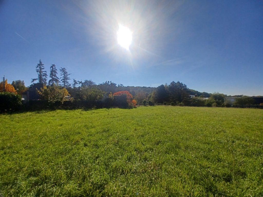 Terrain à Plancoet 22130 223m2 50175 € - BONE-25-11-21-3