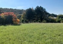 Terrain à Plancoet 22130 223m2 50175 € - BONE-25-11-21-3