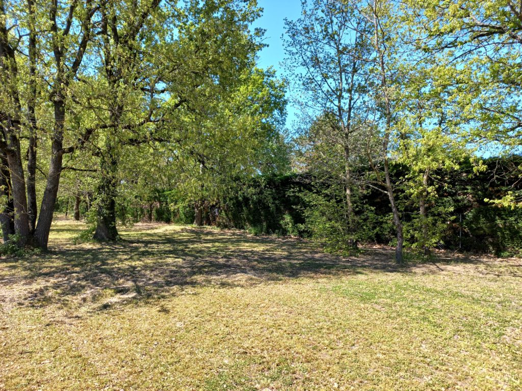 Terrain à Campsas 82370 2774m2 60000 € - PBRU-25-10-27-22