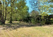 Terrain à Campsas 82370 2774m2 60000 € - PBRU-25-10-27-22