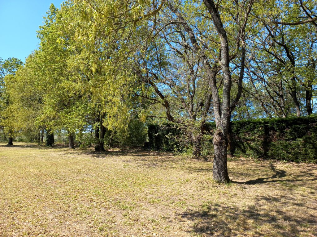 Terrain à Campsas 82370 2774m2 60000 € - PBRU-25-10-27-22