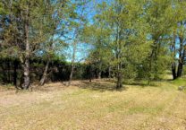 Terrain à Campsas 82370 2774m2 60000 € - PBRU-25-10-27-22