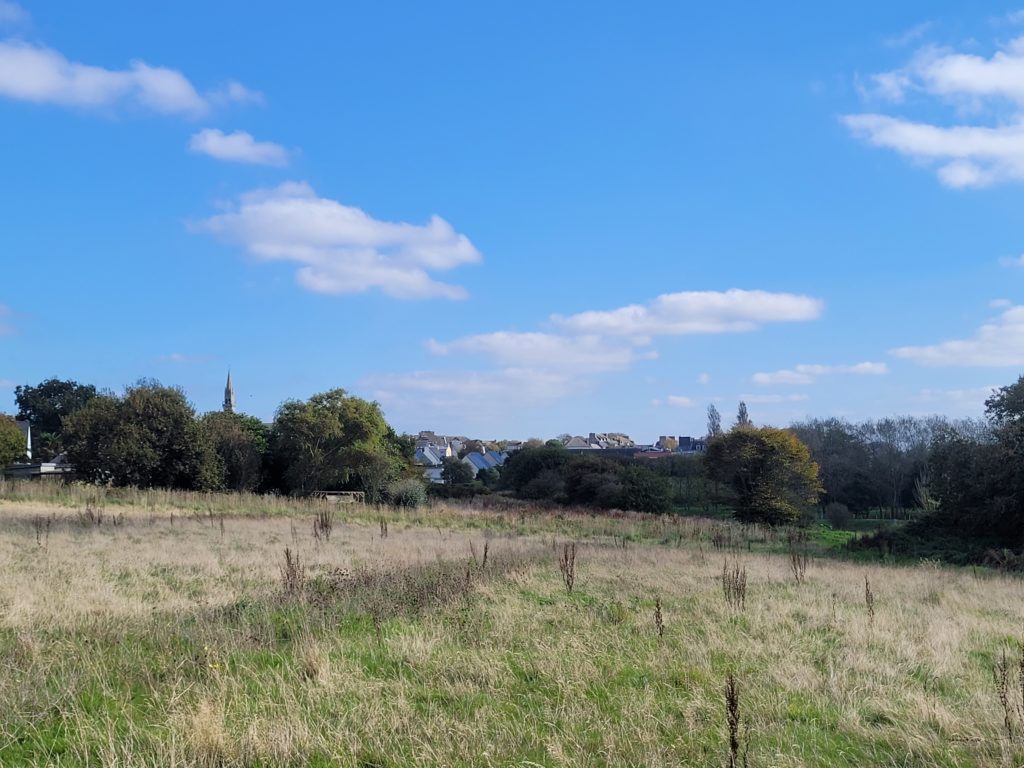 Terrain à LANNILIS 29870 590m2 92000 € - PBE-25-12-10-56