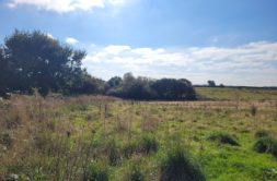 Terrain à LANNILIS 29870 576m2 87000 € - PBE-25-10-29-8