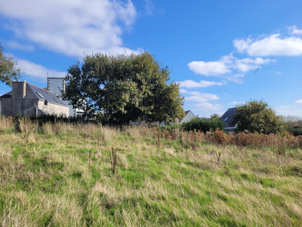 Terrain à LANNILIS 29870 452m2 65000 € - PBE-25-10-29-7