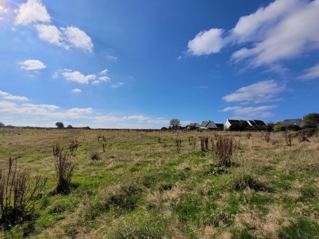 Terrain à LANNILIS 29870 448m2 65000 € - PBE-25-10-29-6