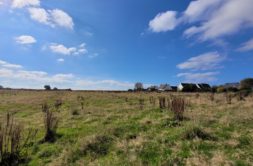 Terrain à LANNILIS 29870 448m2 65000 € - PBE-25-10-29-6