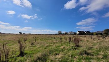 Terrain à LANNILIS 29870 448m2 65000 € - PBE-25-10-29-6