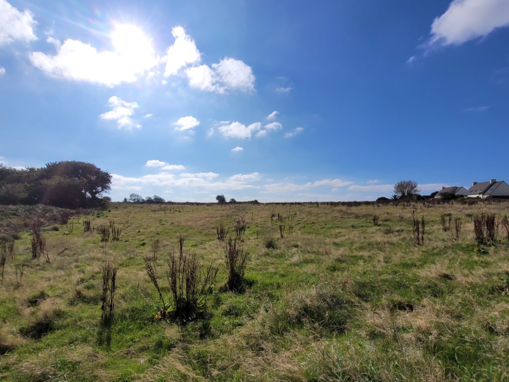 Terrain à Lannilis 29870 417m2 69000 € - PBE-25-10-29-2