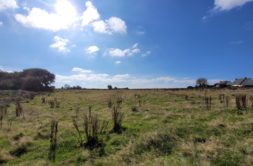 Terrain à Lannilis 29870 417m2 69000 € - PBE-25-10-29-2