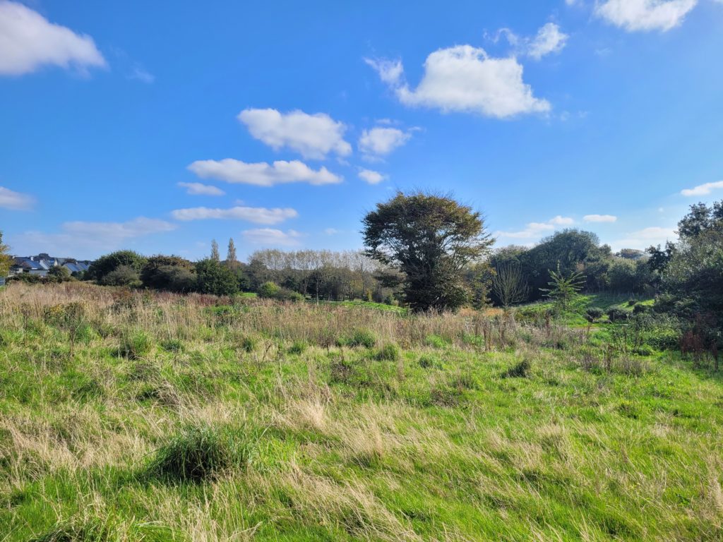 Terrain à Lannilis 29870 426m2 71000 € - PBE-25-10-29-1