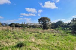 Terrain à Lannilis 29870 426m2 71000 € - PBE-25-10-29-1