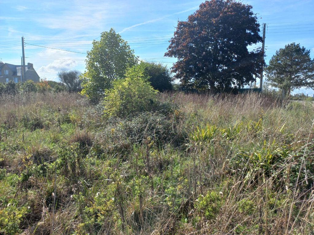 Terrain à Plouer-sur-Rance 22490 609m2 169000 € - GESC-25-11-03-104
