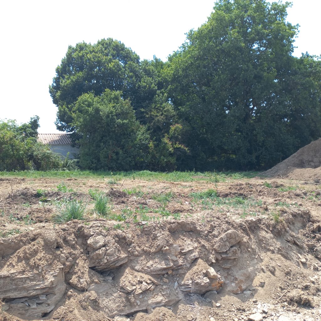 Terrain à Salles-sur-Mer 17220 418m2 205000 € - BFLR-25-11-03-15