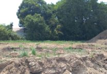 Terrain à Salles-sur-Mer 17220 418m2 205000 € - BFLR-25-11-03-15