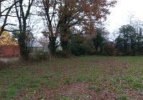 Terrain à Vaux-sur-Mer 17640 453m2 329000 € - BFLR-25-11-03-14