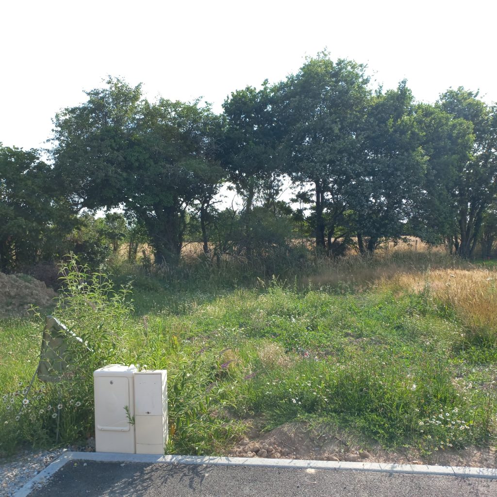 Terrain à Semussac 17120 514m2 72500 € - BFLR-25-11-03-13