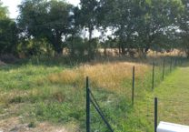 Terrain à Semussac 17120 580m2 79900 € - BFLR-25-11-03-12