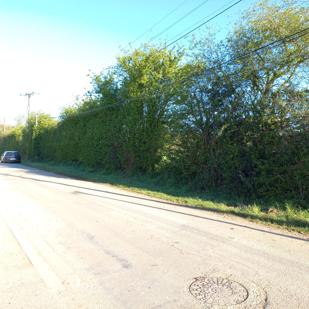 Terrain à Meschers-sur-Gironde 17132 335m2 89900 € - BFLR-25-11-03-7