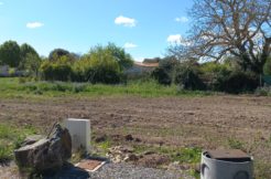 Terrain à Saint-Just-Luzac 17320 468m2 91260 € - BFLR-25-11-03-3