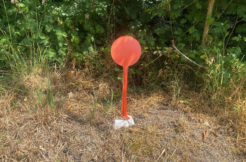 Terrain à Oree-d’Anjou 49530 327m2 65000 € - JLD-25-12-02-49