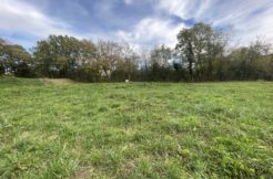 Terrain à Plagne 31220 823m2 30000 € - FRSC-26-04-27-13