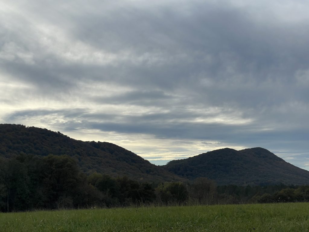 Terrain à Plagne 31220 823m2 30000 € - FRSC-25-11-26-5