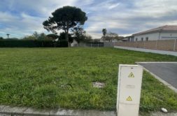 Terrain à Palaminy 31220 501m2 56000 € - FRSC-25-11-14-16