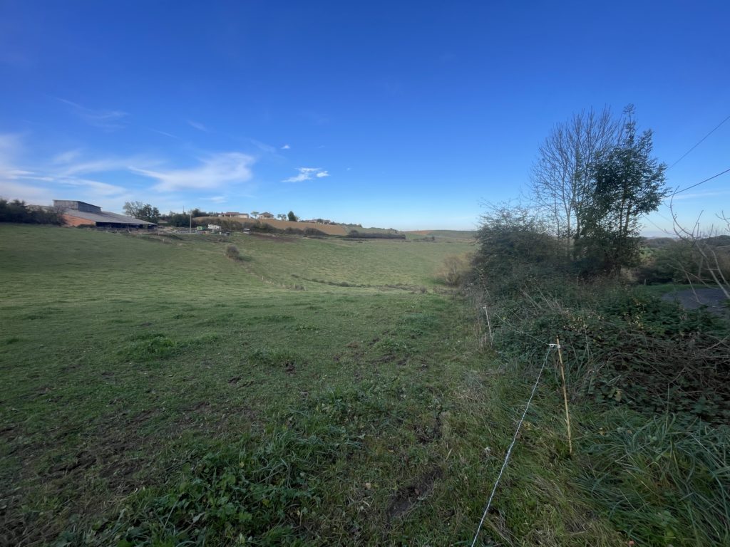 Terrain à Cazeres 31220 7000m2 49005 € - FRSC-25-11-14-21