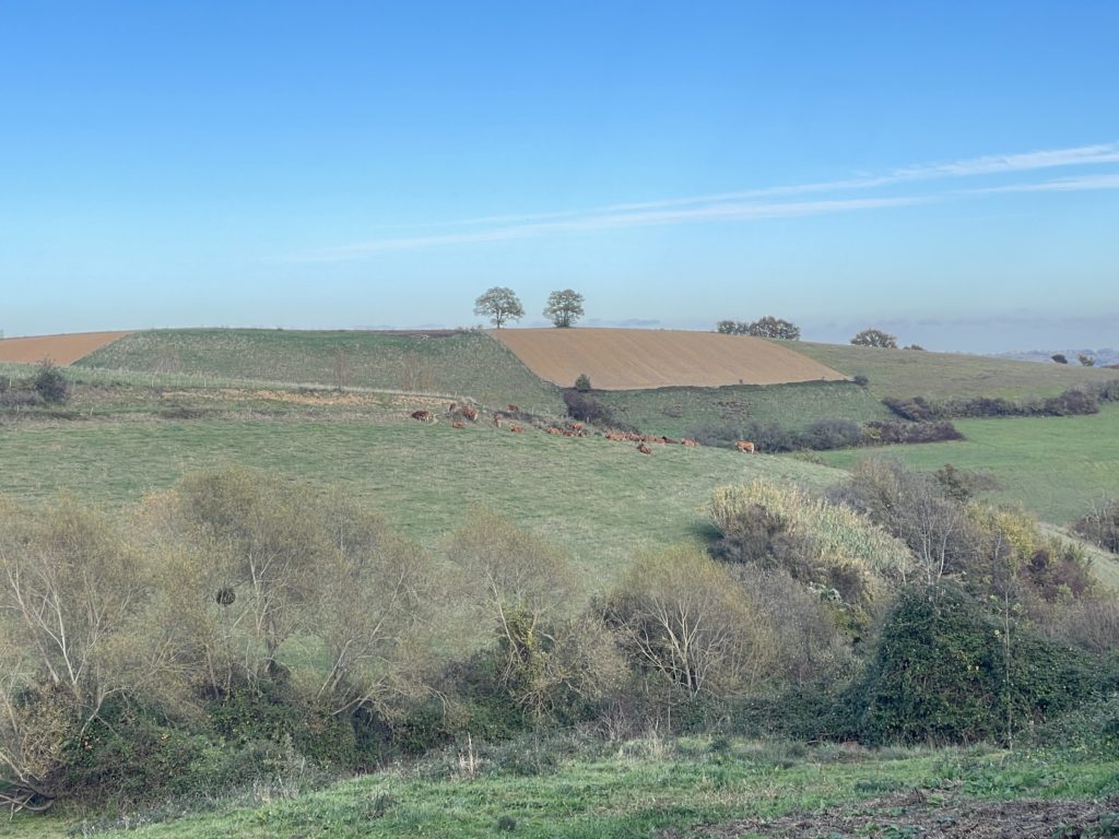 Terrain à Cazeres 31220 7000m2 49005 € - FRSC-25-11-14-21