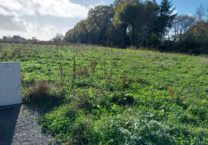 Terrain à Tregunc 29910 1359m2 89000 € - FLANC-25-11-13-2