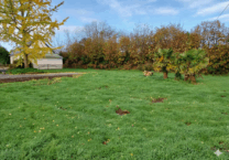 Terrain à Fouesnant 29170 750m2 180000 € - FLANC-25-11-24-10