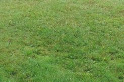 Terrain à Brech 56400 361m2 147600 € - BS-25-11-27-6