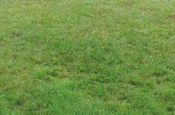 Terrain à Locoal-Mendon 56550 611m2 109000 € - BS-25-11-27-1