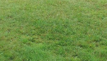 Terrain à Locoal-Mendon 56550 611m2 109000 € - BS-25-11-27-1