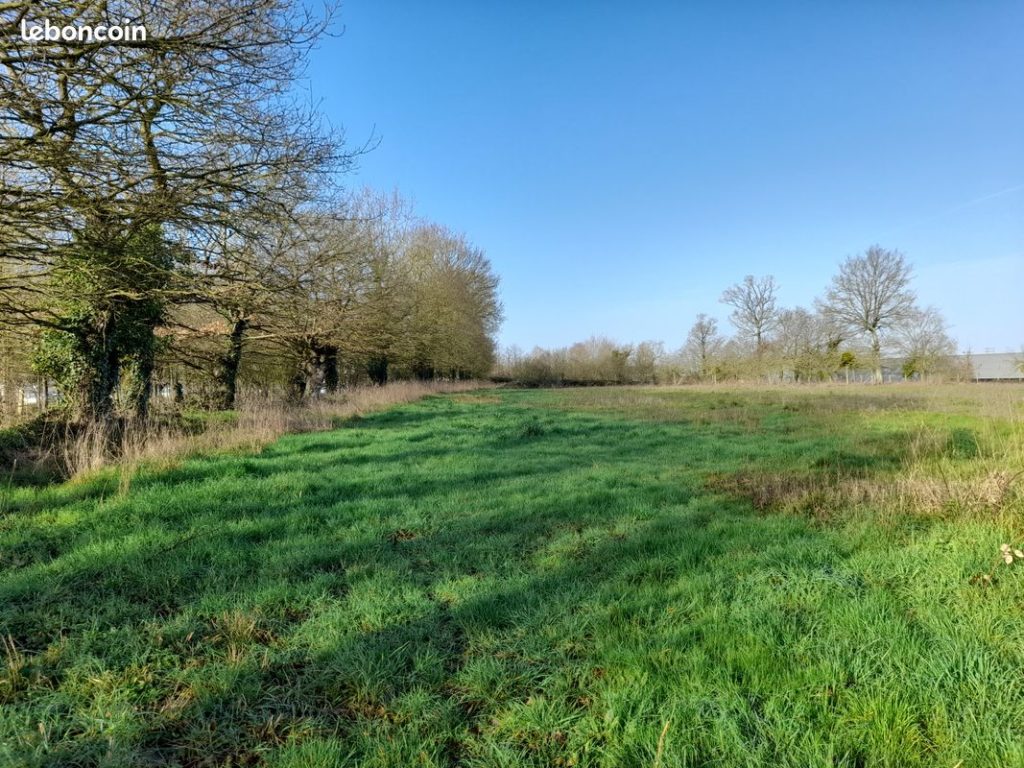 Terrain à Saint-Erblon 35230 245m2 39900 € - ABRE-25-11-26-3