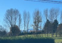 Terrain à Galez 65330 6246m2 62500 € - FRSC-25-11-28-5