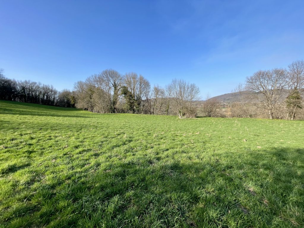 Terrain à Saint-Bertrand-de-Comminges 31510 2224m2 42000 € - FRSC-26-02-16-58