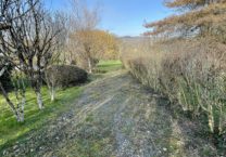 Terrain à Saint-Bertrand-de-Comminges 31510 2224m2 42000 € - FRSC-26-02-16-58