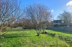 Terrain à Saint-Pabu 29830 794m2 111000 € - PBE-25-12-11-65