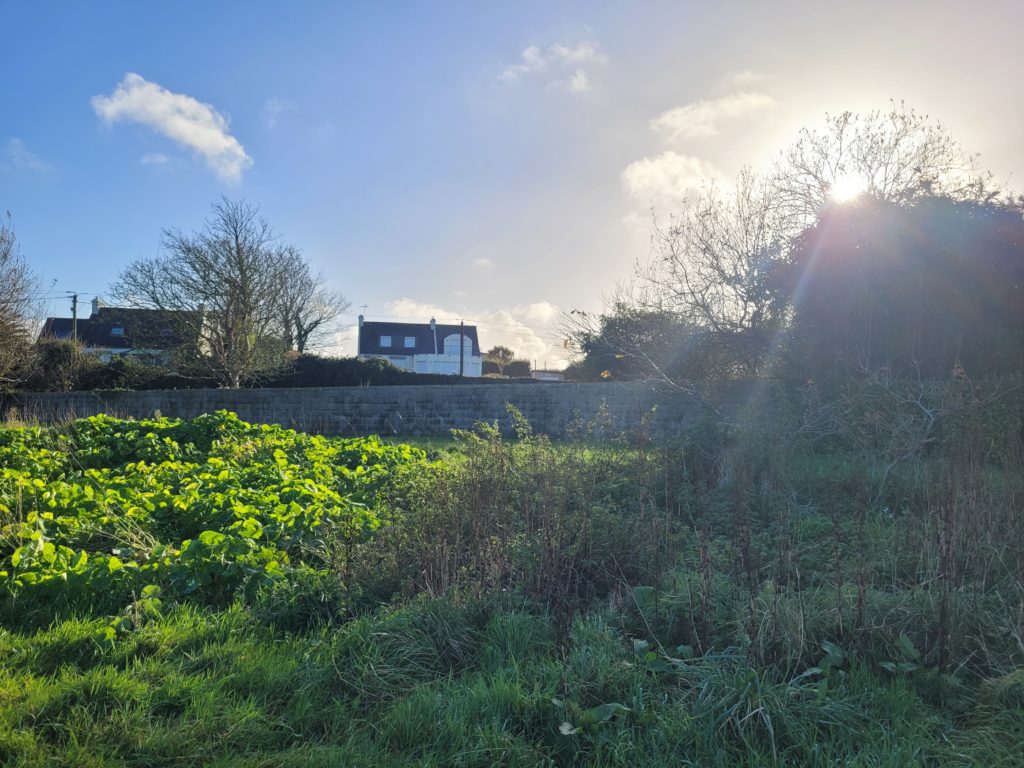 Terrain à Saint-Pabu 29830 538m2 82000 € - PBE-25-12-11-66