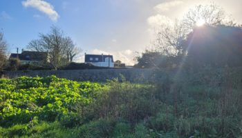 Terrain à Saint-Pabu 29830 538m2 82000 € - PBE-25-12-11-66