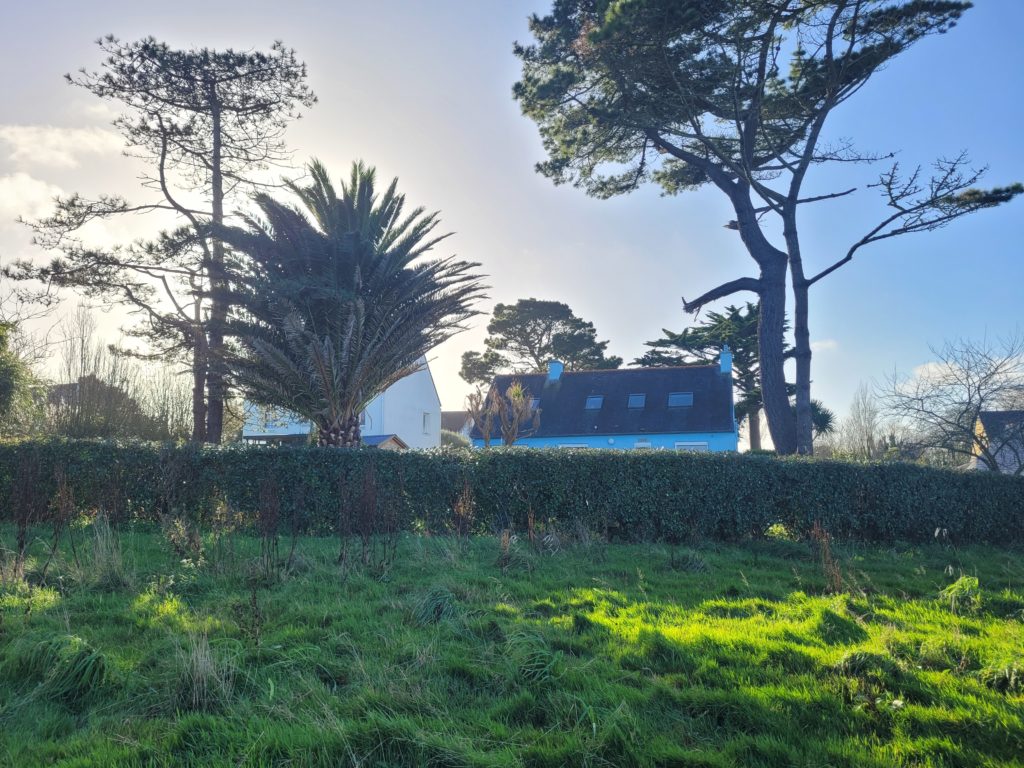 Terrain à Saint-Pabu 29830 475m2 73000 € - PBE-25-12-11-68