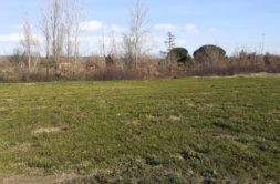 Terrain à Gragnague 31380 506m2 146000 € - PBRU-26-03-17-52