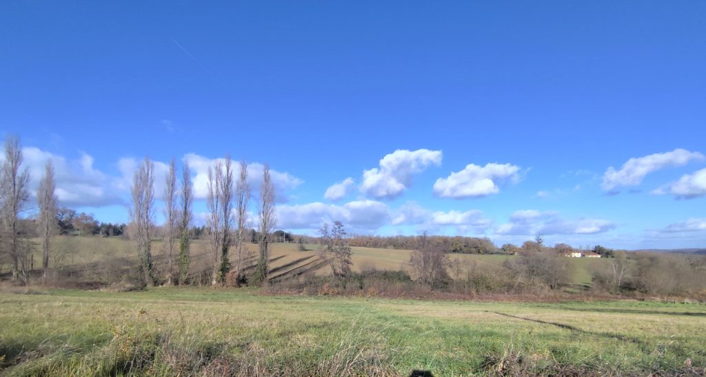 Terrain à Montesquieu-Guittaut 31230 1895m2 23000 € - FRSC-26-01-26-34