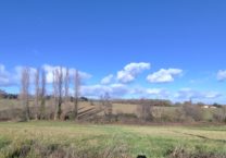 Terrain à Montesquieu-Guittaut 31230 1895m2 23000 € - FRSC-26-01-26-34