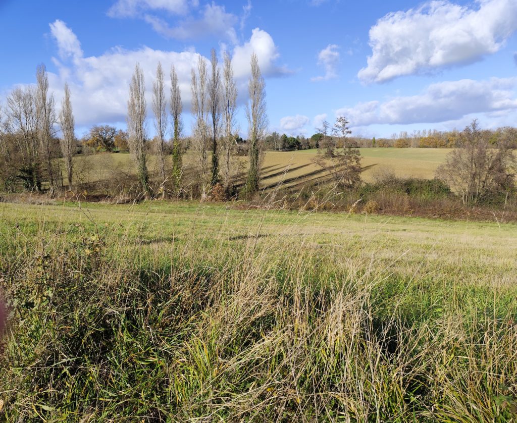 Terrain à Montesquieu-Guittaut 31230 1895m2 23000 € - FRSC-26-01-26-34