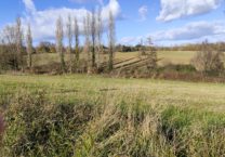 Terrain à Montesquieu-Guittaut 31230 1895m2 23000 € - FRSC-26-01-26-34