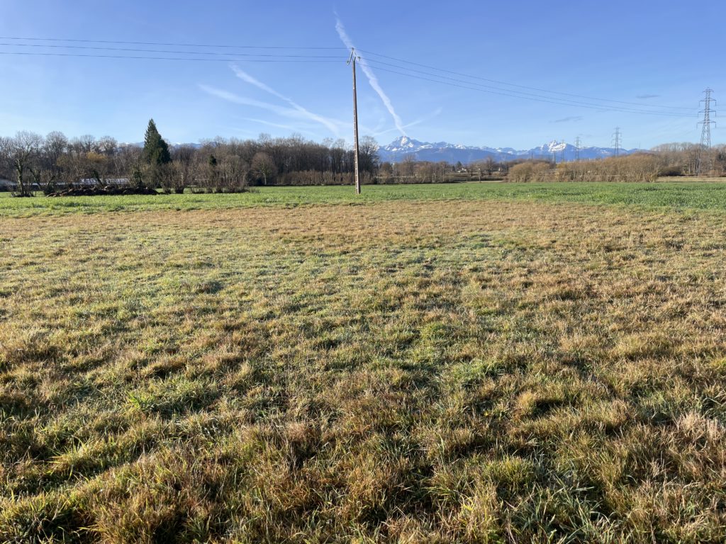 Terrain à Lannemezan 65300 2364m2 68500 € - FRSC-26-01-26-12